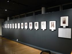 Photo exhibition

